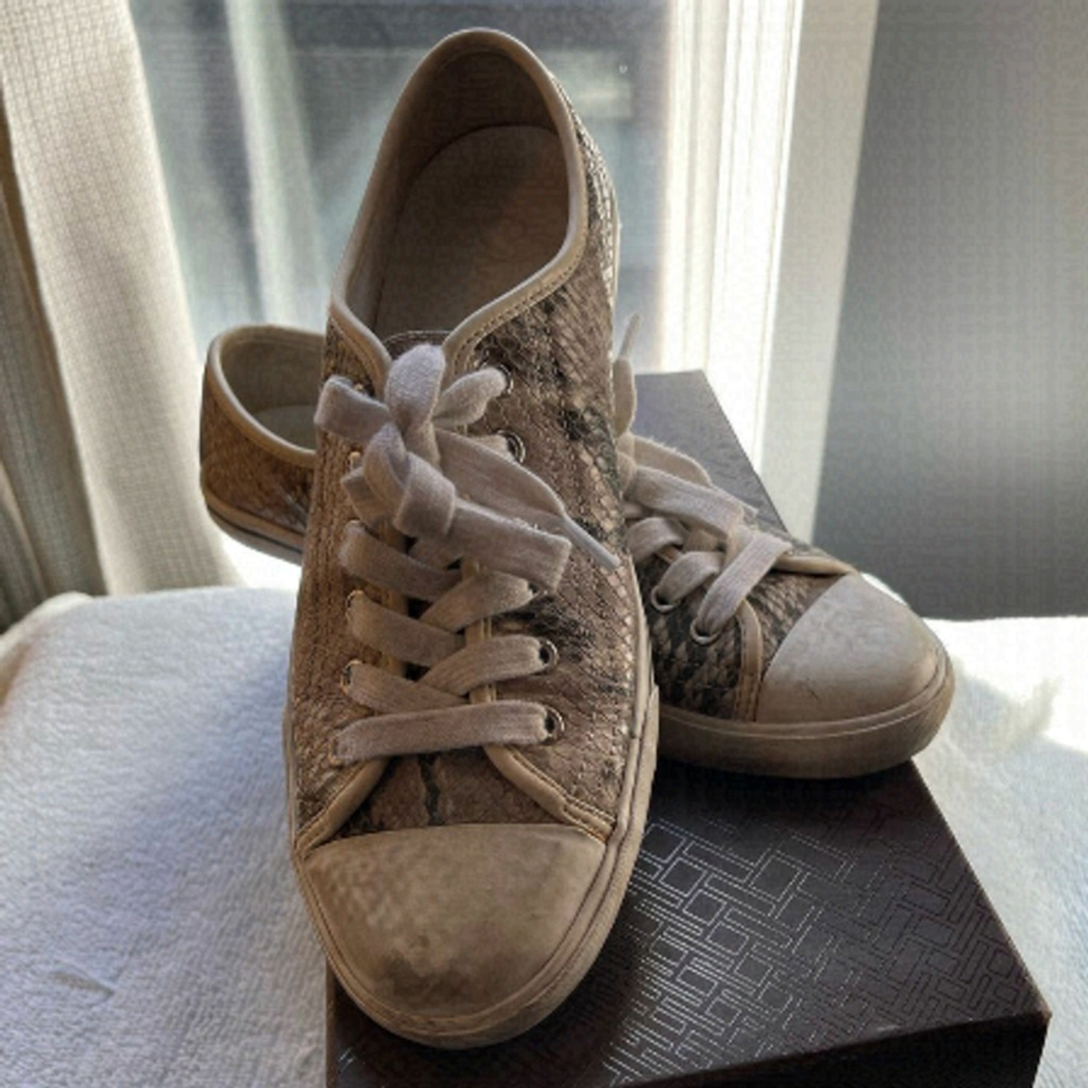 Cole Haan converse style sneakers.